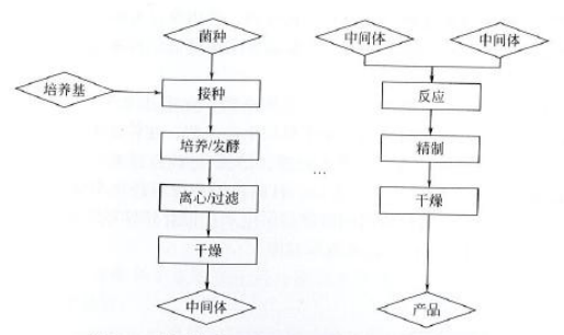 藥廠設(shè)計